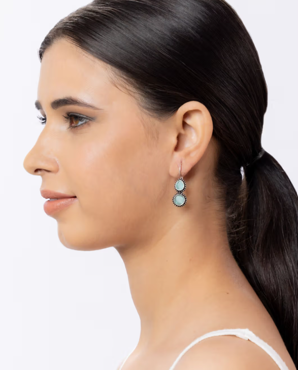 Blue Stone Casual Oxidised Earring